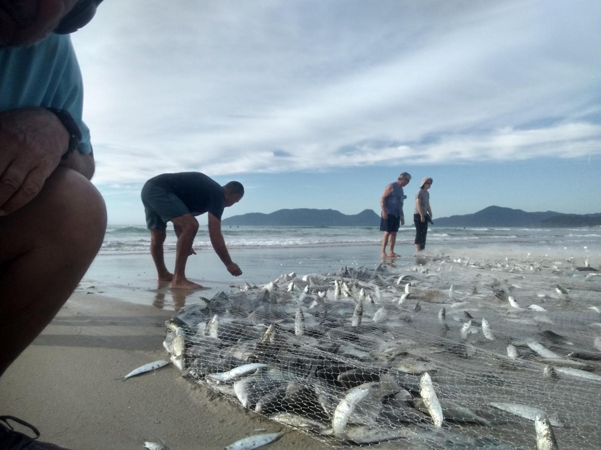Pousada Mar&Sol Bangalo Charmoso E Confortavel Florianópolis Exteriér fotografie